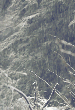 Winter Snow Nature Animated Gif Hot Epic