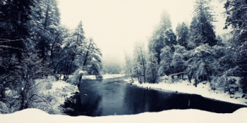 Winter Snow Nature Animated Gif Hot Gif Image Idea
