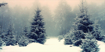Winter Snow Nature Animated Gif Hot Love