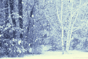 Winter Snow Nature Download Gif Image