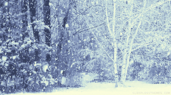 Winter Snow Nature Download Gif Image