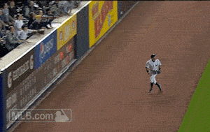 Yankees Baseball Amazing Catch Animated Gif