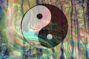 Ying Yang Nature Forest Animated Gif Cool