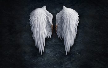 Angels Wings Blood Stones Aion Neat Image For Free
