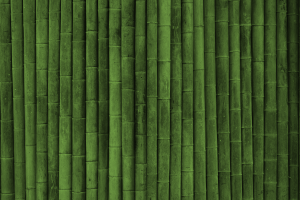 Bamboo Textures High Resolution iPhone Photograph