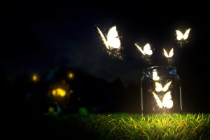 Beautiful Glowing Butterflies Grass Bottle Blur Ground Night Dark Sky Macro Nature