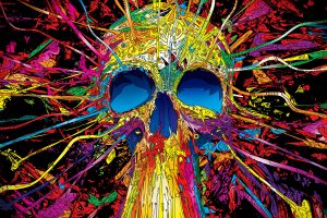 Colourful Skull Get Neat Photograph For Free