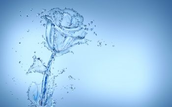 Creativity Water Spray Drops Flower Rose E High Resolution iPhone Photograph
