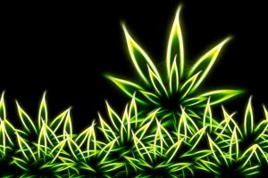 Drugs Grass Marijuana Digital Art Weeds Fractal