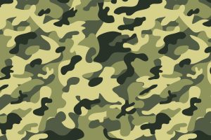 Green Minimalistic Military Camouflage Backgrounds High Resolution iPhone Photograph