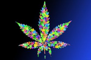 Leaf Drugs Leaves Marijuana Weeds Colorful Photograph Free Get