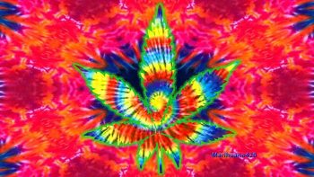 Marijuana Weed 420 Drugs Poster Neat Photograph