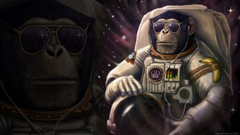 Monkey Sunglasses Astronaut Wtf Banana