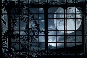 Night Window Grille Plant Bindweed Moon Flock Birds Mood Bokeh Get Neat Image For Free