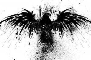 Skull Art Fantasy Head Logo Bird Black Hd Photograph Colorful Photograph Free Get