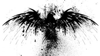 Skull Art Fantasy Head Logo Bird Black Hd Photograph Colorful Photograph Free Get