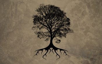 Trees Silhouette Roots Neat Image For Free