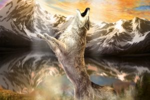 Wolves Mountains Painting Art Animals Wolf